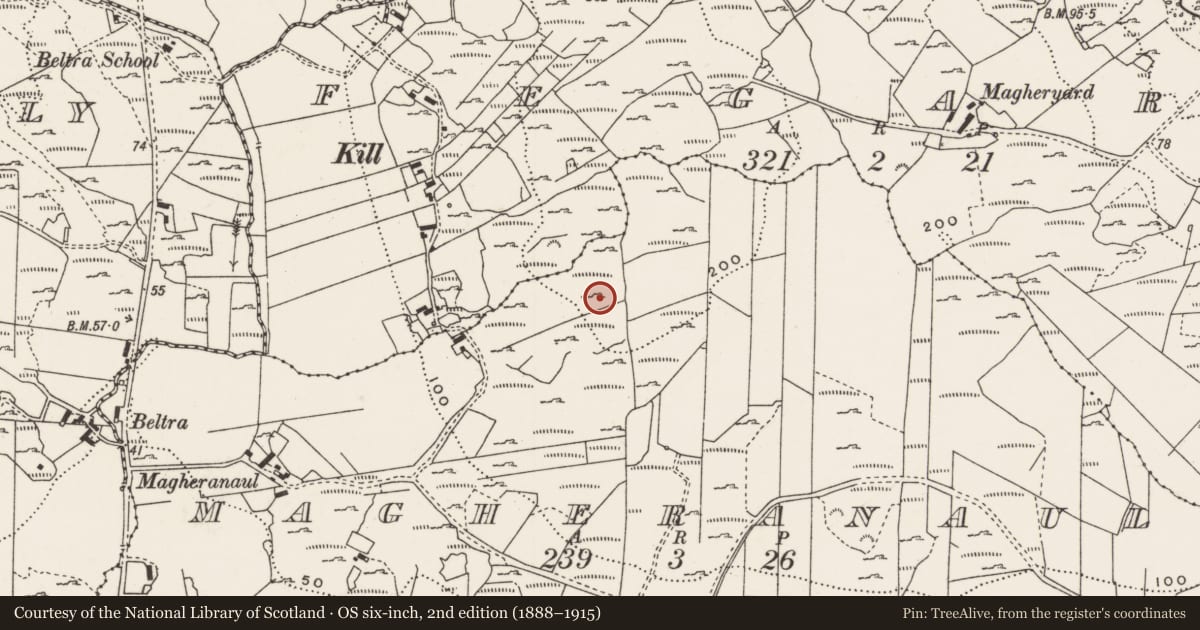 Ordnance Survey six-inch map, 2nd edition (1888–1915) covering the location of Rock art, Magheranaul, County Donegal, with a pin at the register's coordinates