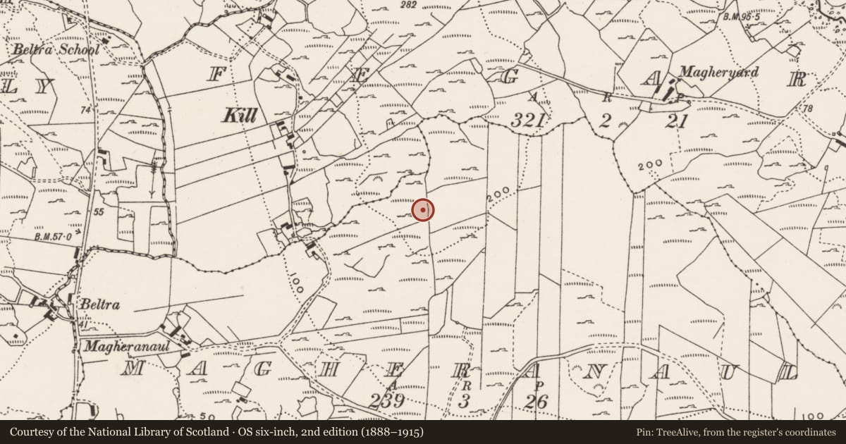 Ordnance Survey six-inch map, 2nd edition (1888–1915) covering the location of Rock art, Magheranaul, County Donegal, with a pin at the register's coordinates