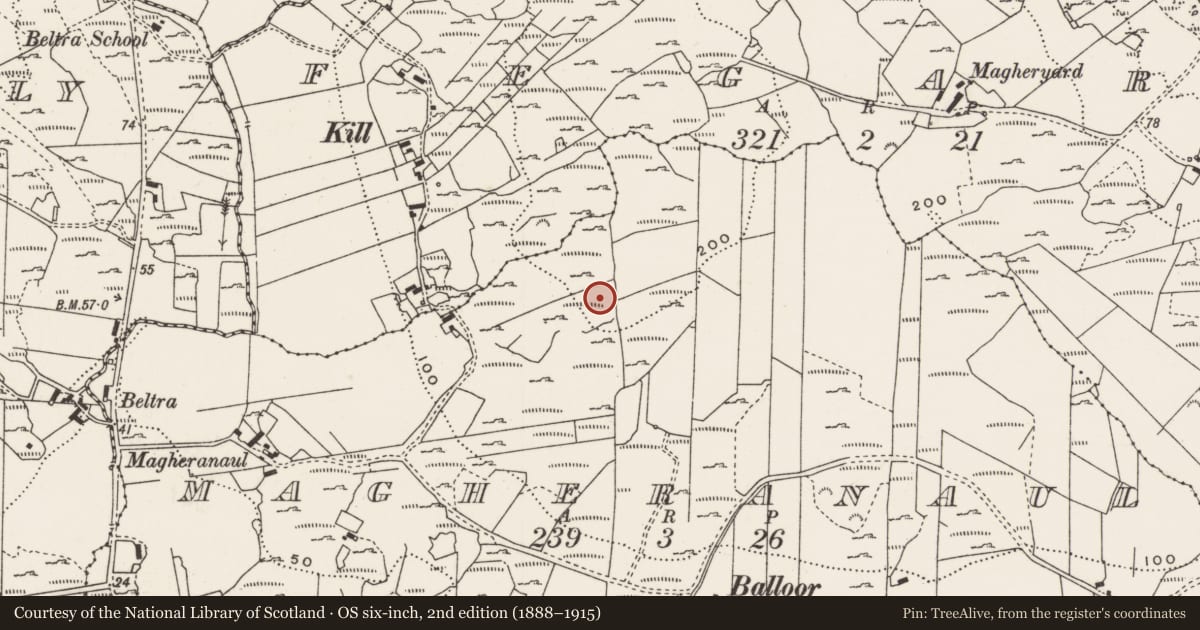 Ordnance Survey six-inch map, 2nd edition (1888–1915) covering the location of Rock art, Magheranaul, County Donegal, with a pin at the register's coordinates