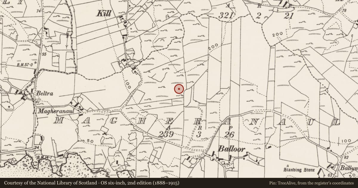 Ordnance Survey six-inch map, 2nd edition (1888–1915) covering the location of Rock art, Magheranaul, County Donegal, with a pin at the register's coordinates
