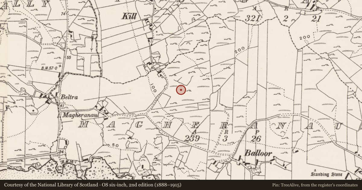 Ordnance Survey six-inch map, 2nd edition (1888–1915) covering the location of Rock art, Magheranaul, County Donegal, with a pin at the register's coordinates