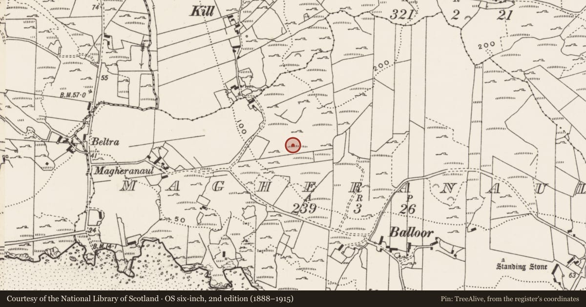 Ordnance Survey six-inch map, 2nd edition (1888–1915) covering the location of Rock art, Magheranaul, County Donegal, with a pin at the register's coordinates