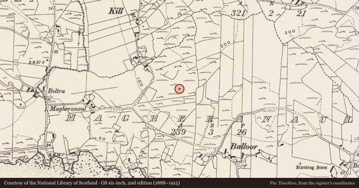 Ordnance Survey six-inch map, 2nd edition (1888–1915) covering the location of Rock art, Magheranaul, County Donegal, with a pin at the register's coordinates