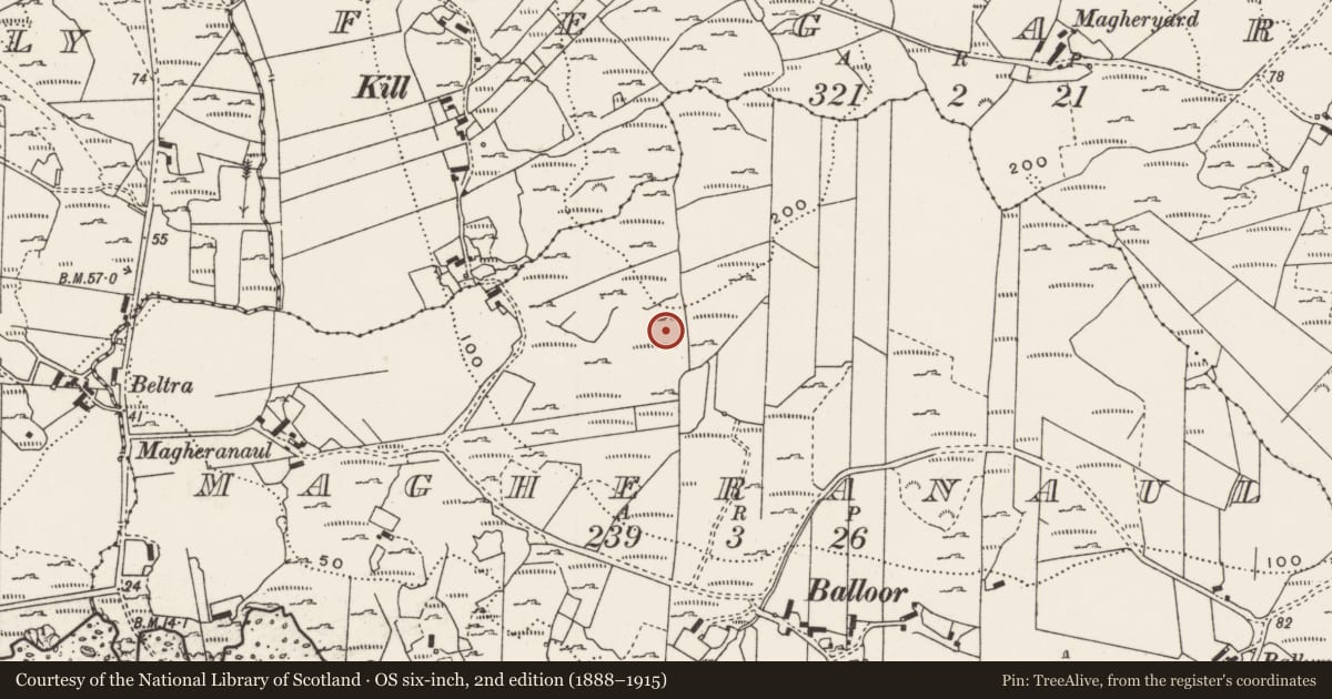 Ordnance Survey six-inch map, 2nd edition (1888–1915) covering the location of Rock art, Magheranaul, County Donegal, with a pin at the register's coordinates