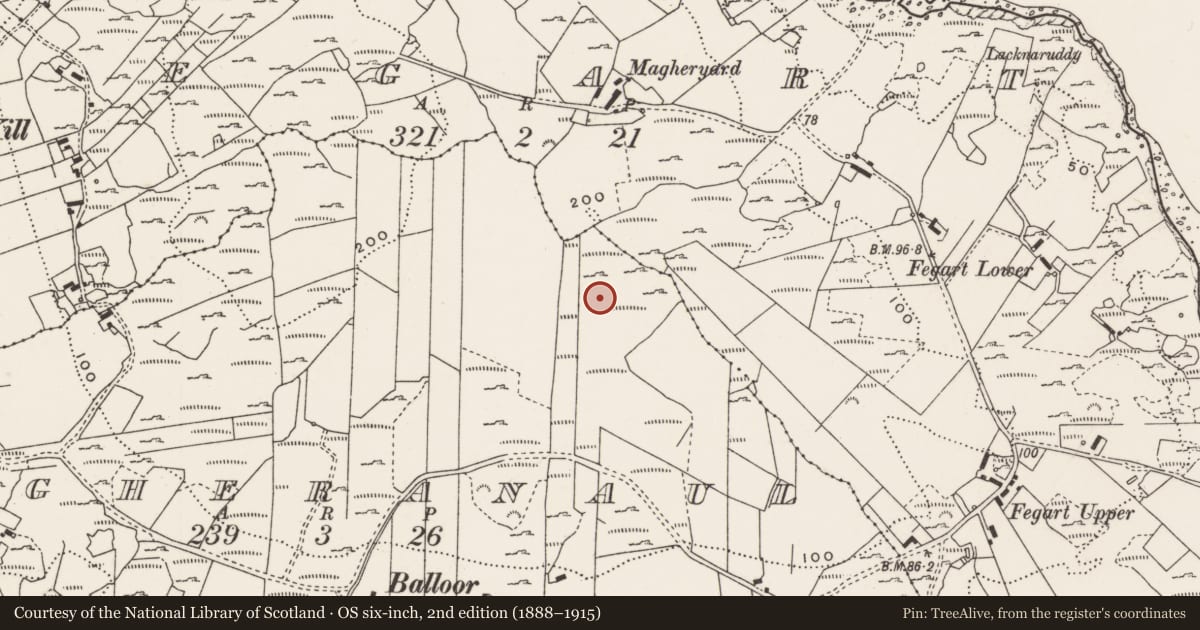 Ordnance Survey six-inch map, 2nd edition (1888–1915) covering the location of Rock art, Magheranaul, County Donegal, with a pin at the register's coordinates