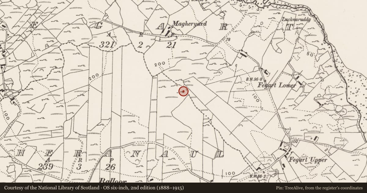 Ordnance Survey six-inch map, 2nd edition (1888–1915) covering the location of Rock art, Magheranaul, County Donegal, with a pin at the register's coordinates