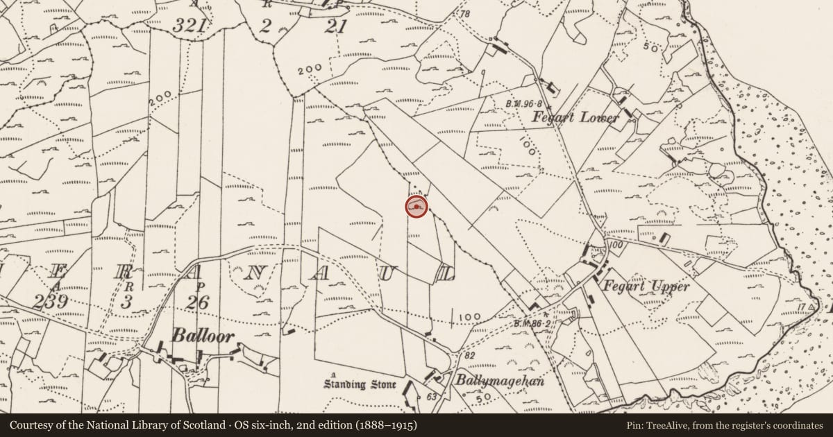 Ordnance Survey six-inch map, 2nd edition (1888–1915) covering the location of Rock art, Magheranaul, County Donegal, with a pin at the register's coordinates