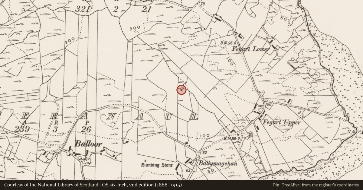 Ordnance Survey six-inch map, 2nd edition (1888–1915) covering the location of Rock art, Magheranaul, County Donegal, with a pin at the register's coordinates