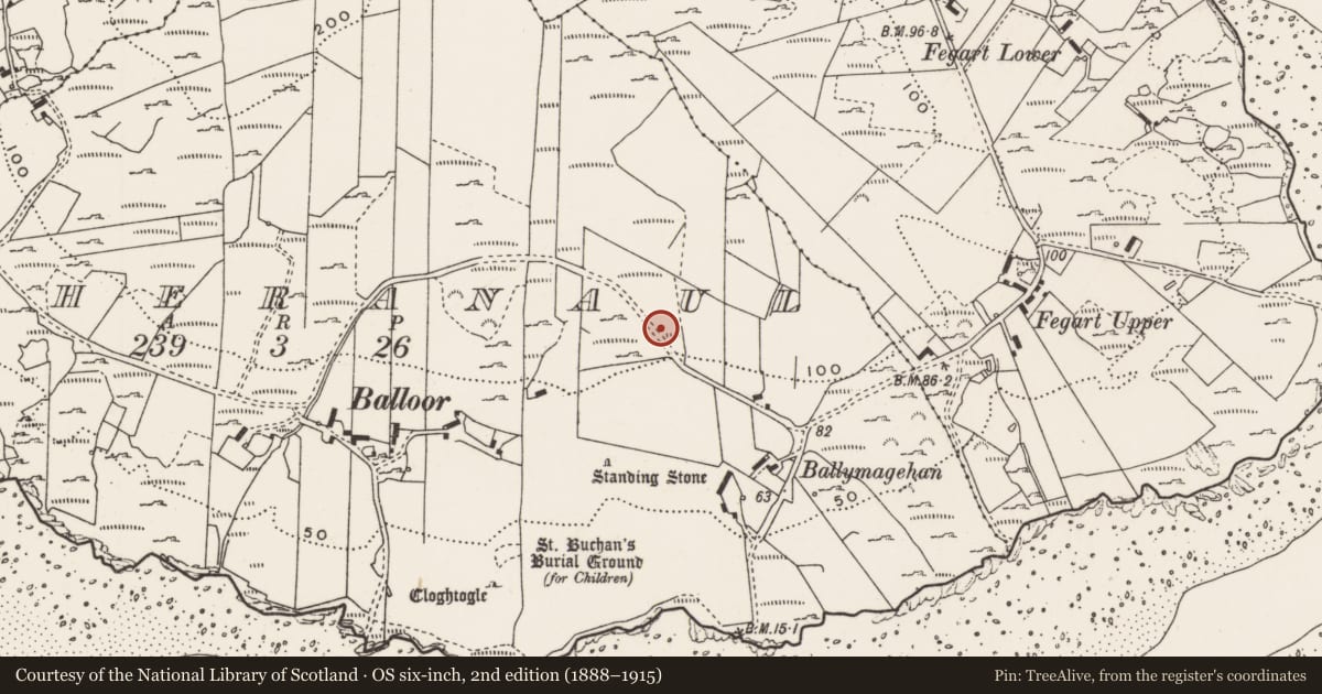 Ordnance Survey six-inch map, 2nd edition (1888–1915) covering the location of Rock art, Magheranaul, County Donegal, with a pin at the register's coordinates