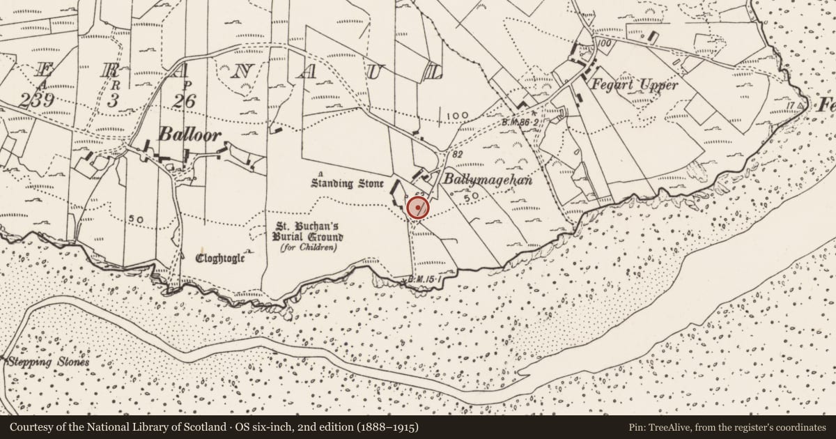 Ordnance Survey six-inch map, 2nd edition (1888–1915) covering the location of Rock art, Magheranaul, County Donegal, with a pin at the register's coordinates