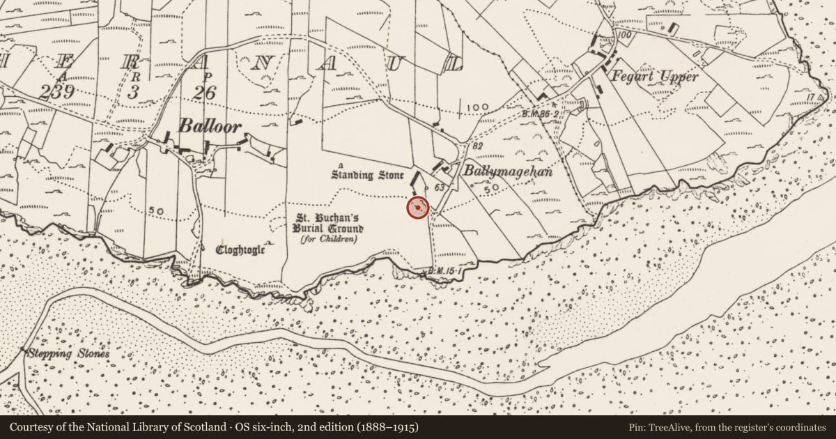 Ordnance Survey six-inch map, 2nd edition (1888–1915) covering the location of Rock art, Magheranaul, County Donegal, with a pin at the register's coordinates