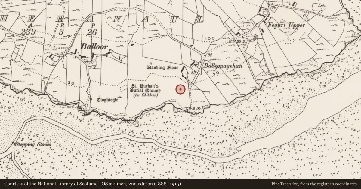 Ordnance Survey six-inch map, 2nd edition (1888–1915) covering the location of Rock art, Magheranaul, County Donegal, with a pin at the register's coordinates