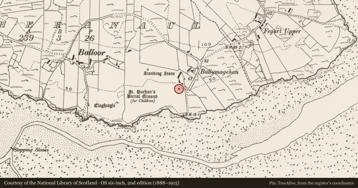 Ordnance Survey six-inch map, 2nd edition (1888–1915) covering the location of Rock art, Magheranaul, County Donegal, with a pin at the register's coordinates