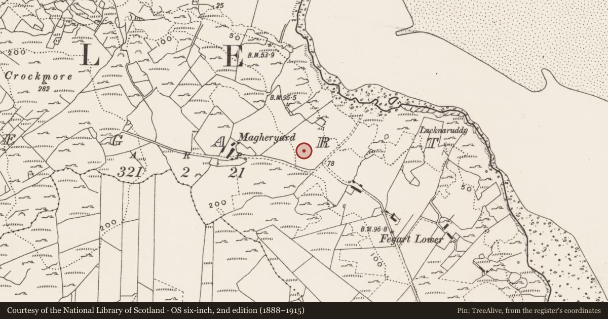 Ordnance Survey six-inch map, 2nd edition (1888–1915) covering the location of Rock art, Fegart, County Donegal, with a pin at the register's coordinates