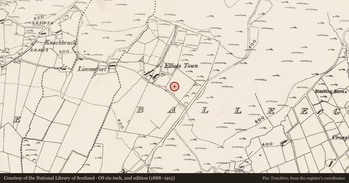 Ordnance Survey six-inch map, 2nd edition (1888–1915) covering the location of Rock art, Balleeghan Upper, County Donegal, with a pin at the register's coordinates