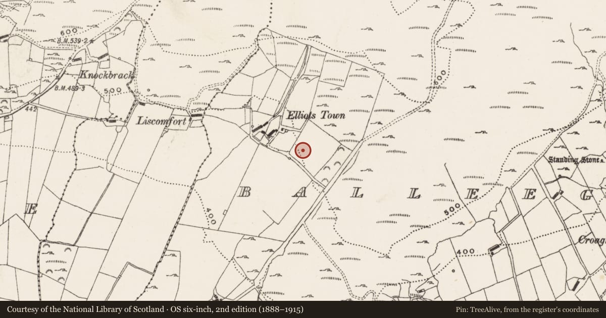 Ordnance Survey six-inch map, 2nd edition (1888–1915) covering the location of Rock art (present location), Balleeghan Upper, County Donegal, with a pin at the register's coordinates