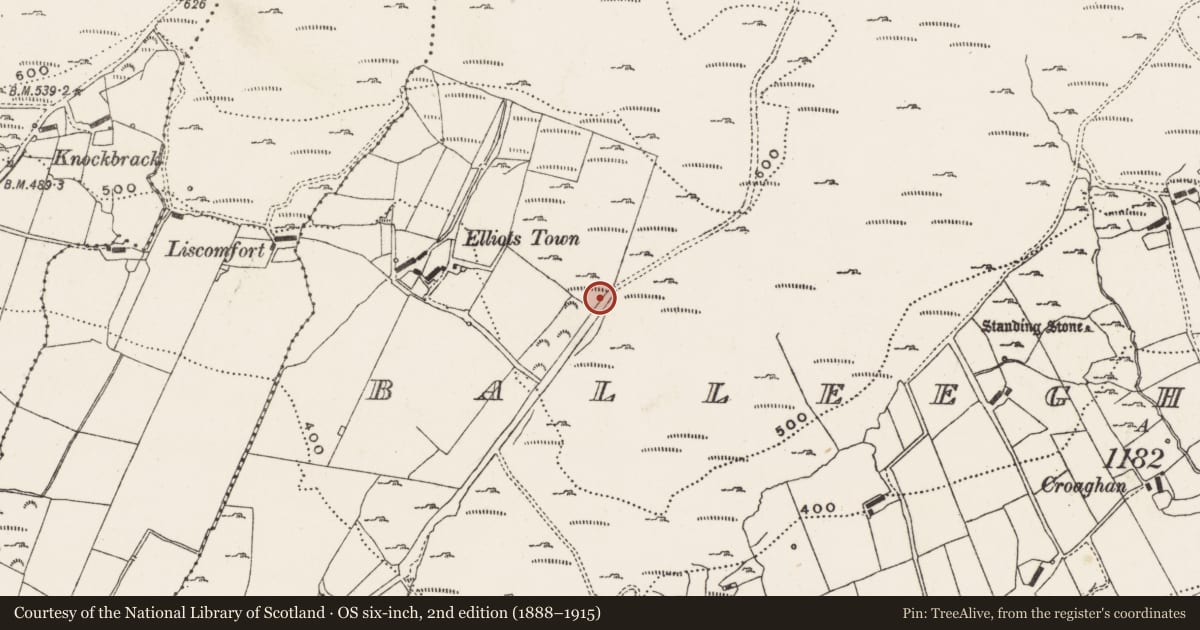 Ordnance Survey six-inch map, 2nd edition (1888–1915) covering the location of Rock art (present location), Balleeghan Upper, County Donegal, with a pin at the register's coordinates