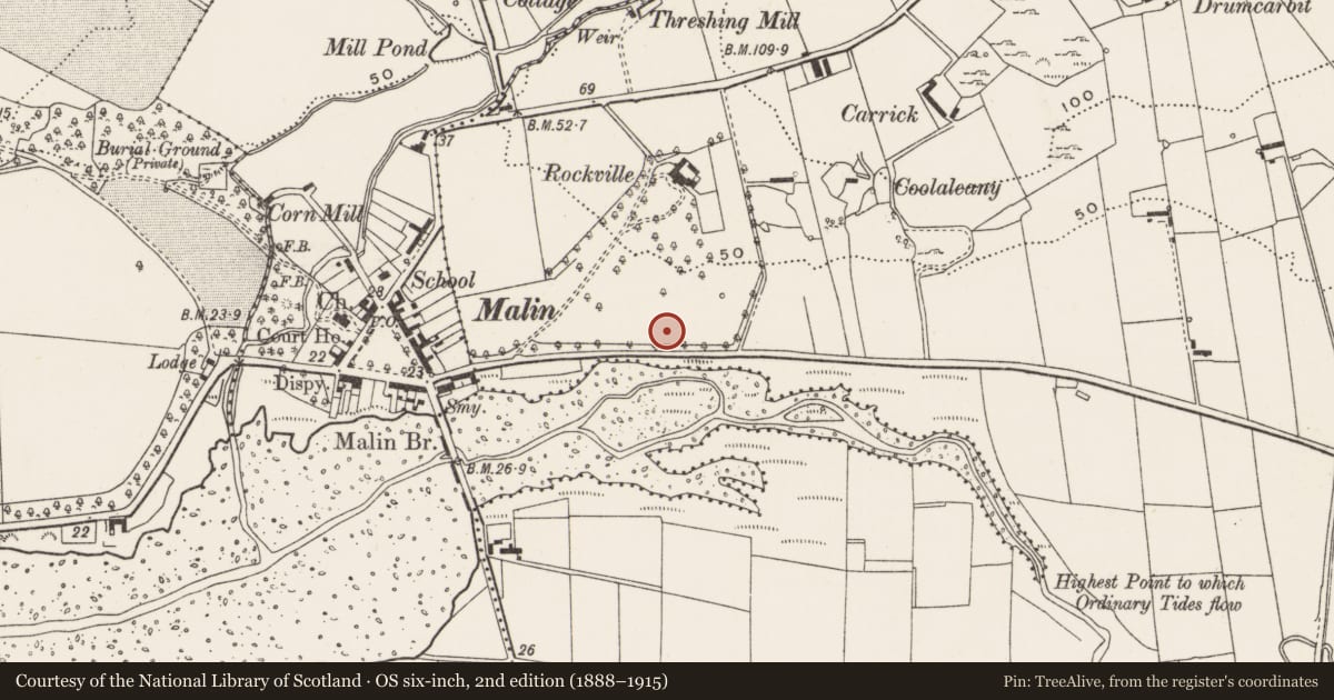 Ordnance Survey six-inch map, 2nd edition (1888–1915) covering the location of Fulacht fia, Drumcarbit, County Donegal, with a pin at the register's coordinates