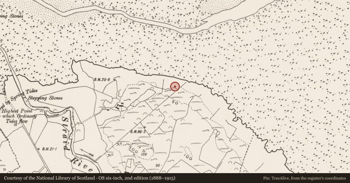 Ordnance Survey six-inch map, 2nd edition (1888–1915) covering the location of Rock art, Straths, County Donegal, with a pin at the register's coordinates