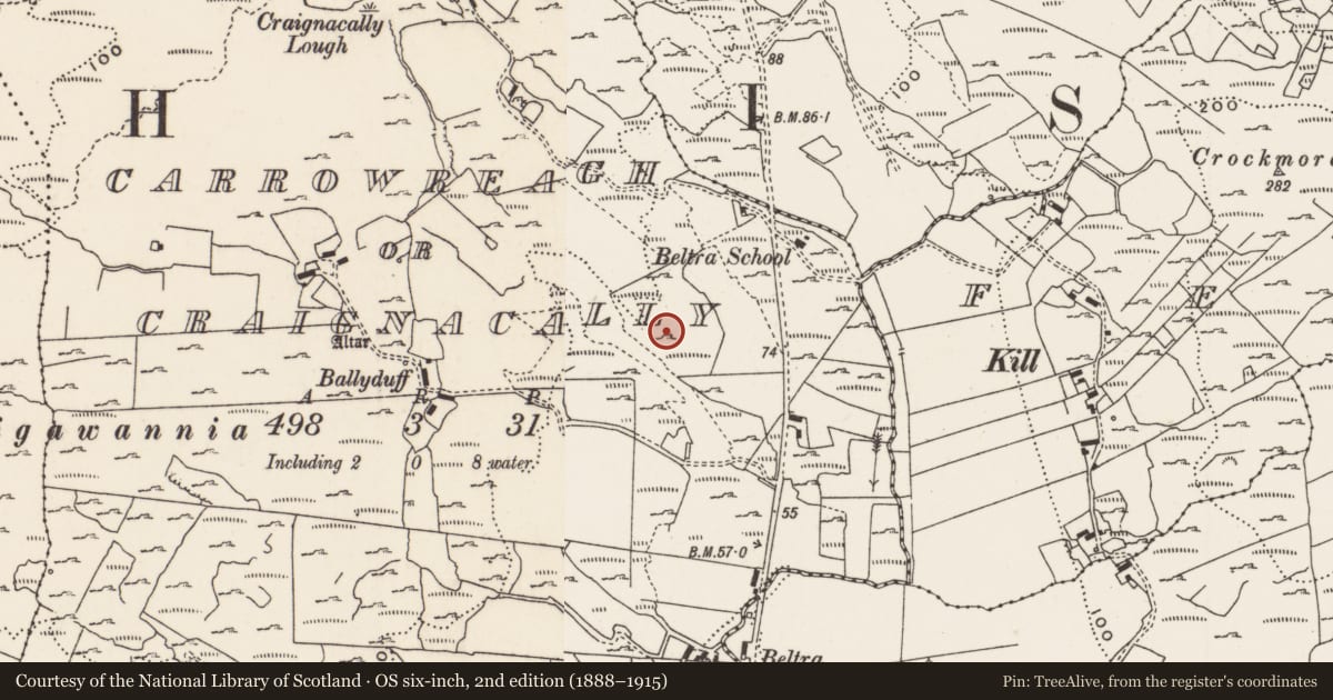 Ordnance Survey six-inch map, 2nd edition (1888–1915) covering the location of Rock art, Carrowreagh Or Craignacally, County Donegal, with a pin at the register's coordinates