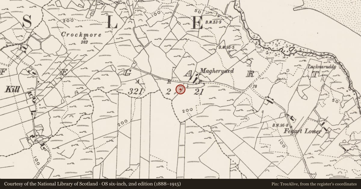 Ordnance Survey six-inch map, 2nd edition (1888–1915) covering the location of Rock art, Fegart, County Donegal, with a pin at the register's coordinates