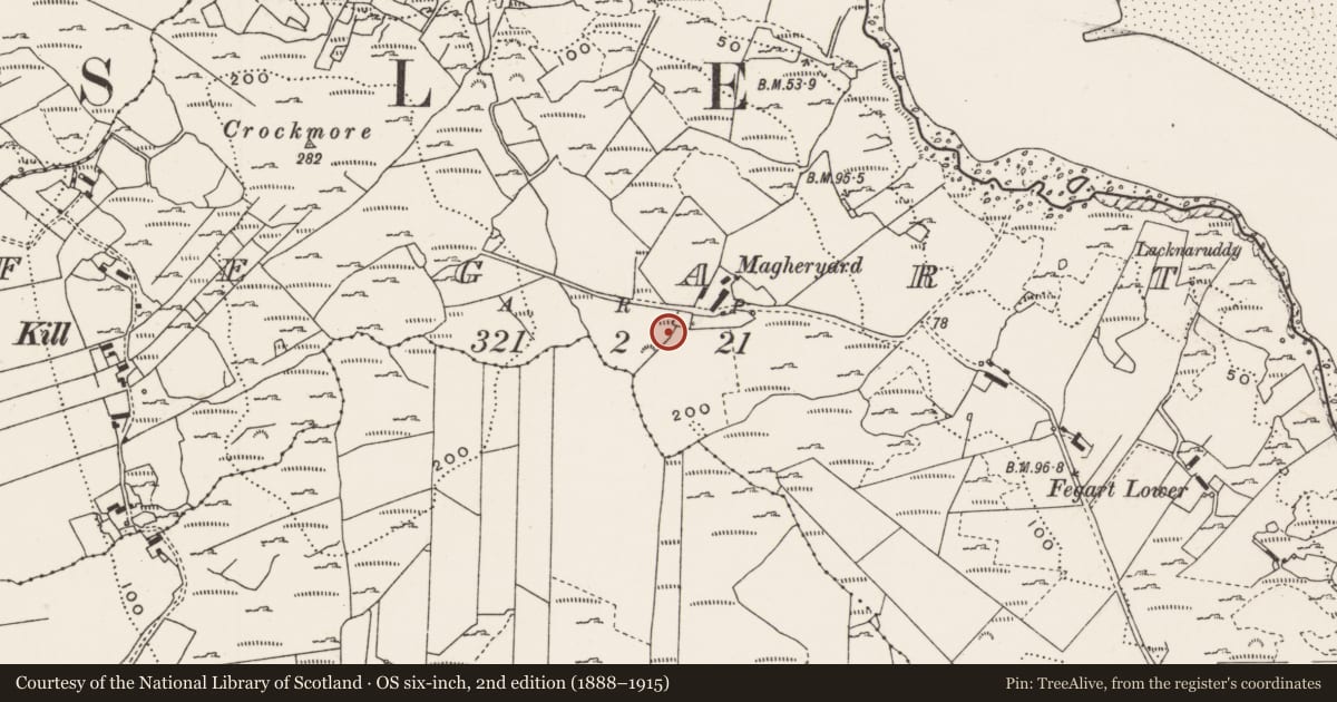 Ordnance Survey six-inch map, 2nd edition (1888–1915) covering the location of Rock art, Fegart, County Donegal, with a pin at the register's coordinates