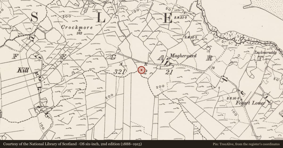 Ordnance Survey six-inch map, 2nd edition (1888–1915) covering the location of Rock art, Fegart, County Donegal, with a pin at the register's coordinates