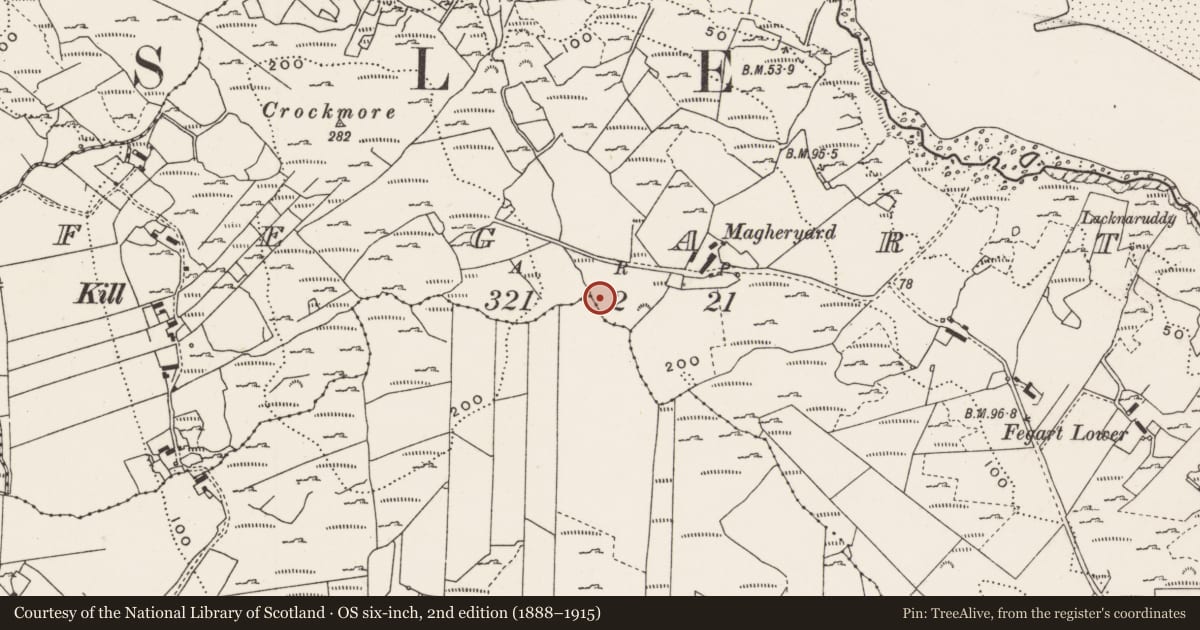Ordnance Survey six-inch map, 2nd edition (1888–1915) covering the location of Rock art, Fegart, County Donegal, with a pin at the register's coordinates