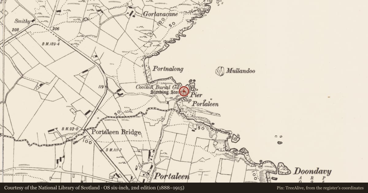 Ordnance Survey six-inch map, 2nd edition (1888–1915) covering the location of Cross-inscribed stone, Glengad, County Donegal, with a pin at the register's coordinates
