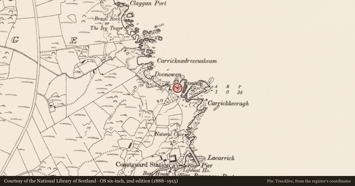 Ordnance Survey six-inch map, 2nd edition (1888–1915) covering the location of Promontory fort - coastal, Carthage, County Donegal, with a pin at the register's coordinates