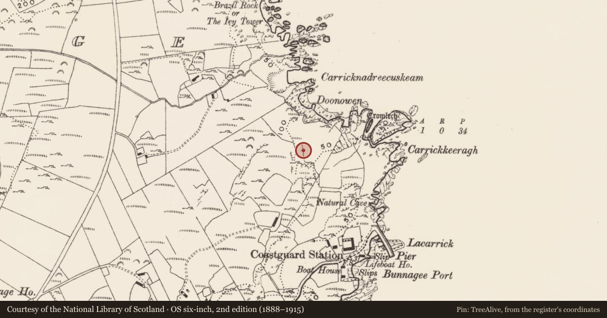 Ordnance Survey six-inch map, 2nd edition (1888–1915) covering the location of Cairn - unclassified, Carthage, County Donegal, with a pin at the register's coordinates