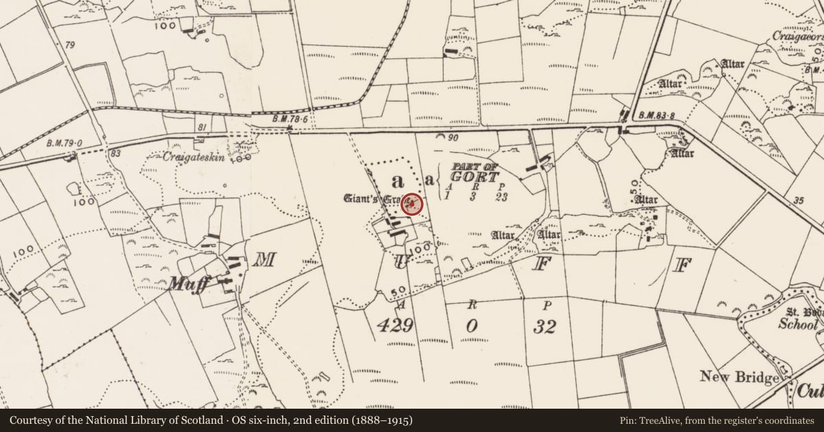 Ordnance Survey six-inch map, 2nd edition (1888–1915) covering the location of Megalithic structure, Gort, Muff, County Donegal, with a pin at the register's coordinates