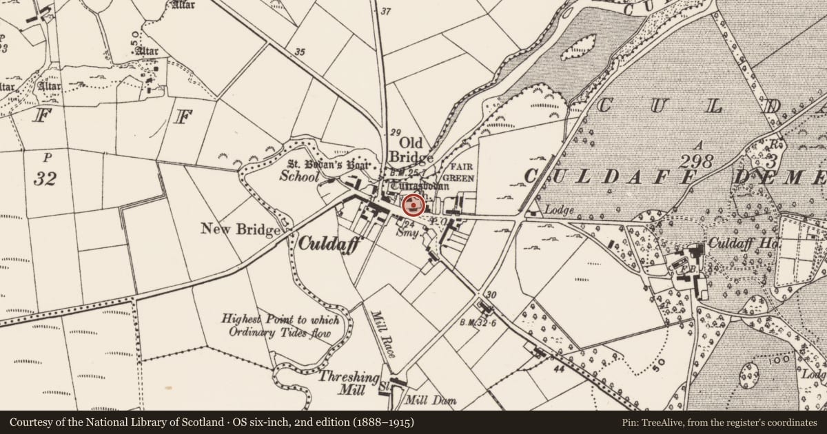 Ordnance Survey six-inch map, 2nd edition (1888–1915) covering the location of Graveyard, Culdaff, County Donegal, with a pin at the register's coordinates