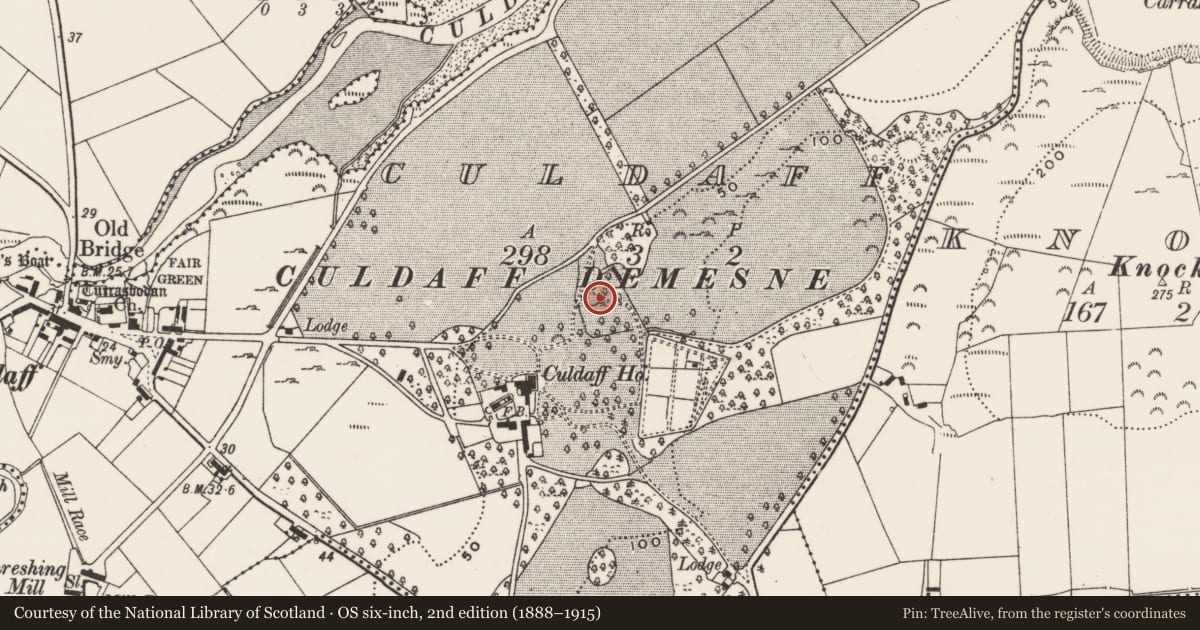 Ordnance Survey six-inch map, 2nd edition (1888–1915) covering the location of Enclosure, Culdaff, County Donegal, with a pin at the register's coordinates