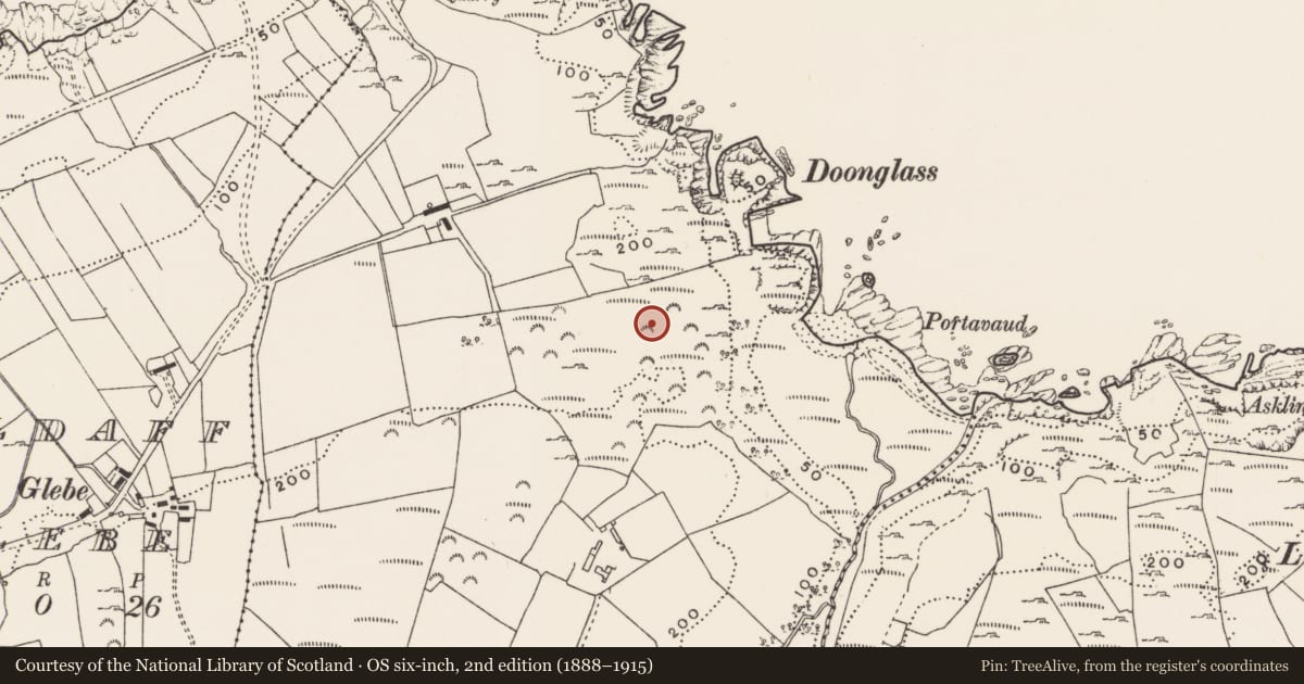 Ordnance Survey six-inch map, 2nd edition (1888–1915) covering the location of Field system, Redford Glebe, County Donegal, with a pin at the register's coordinates