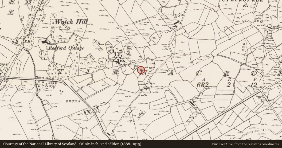 Ordnance Survey six-inch map, 2nd edition (1888–1915) covering the location of Standing stone, Tirmacroragh, County Donegal, with a pin at the register's coordinates