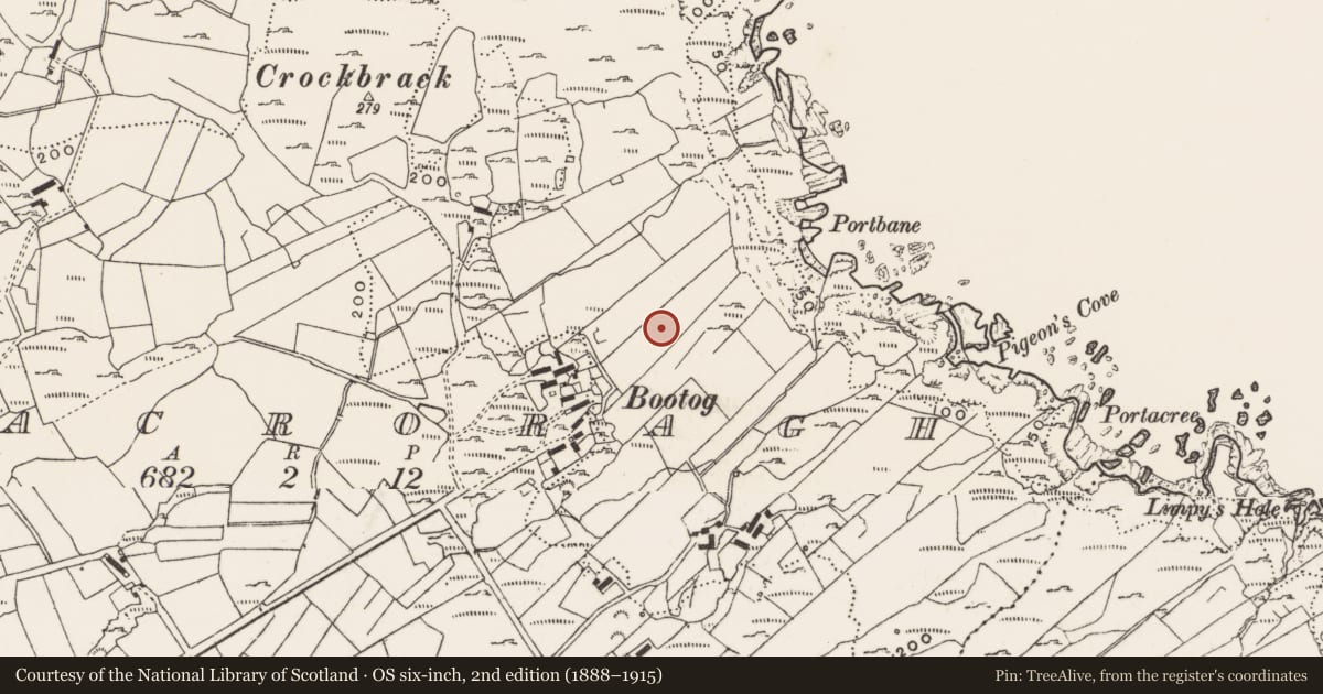 Ordnance Survey six-inch map, 2nd edition (1888–1915) covering the location of Children's burial ground, Tirmacroragh, County Donegal, with a pin at the register's coordinates