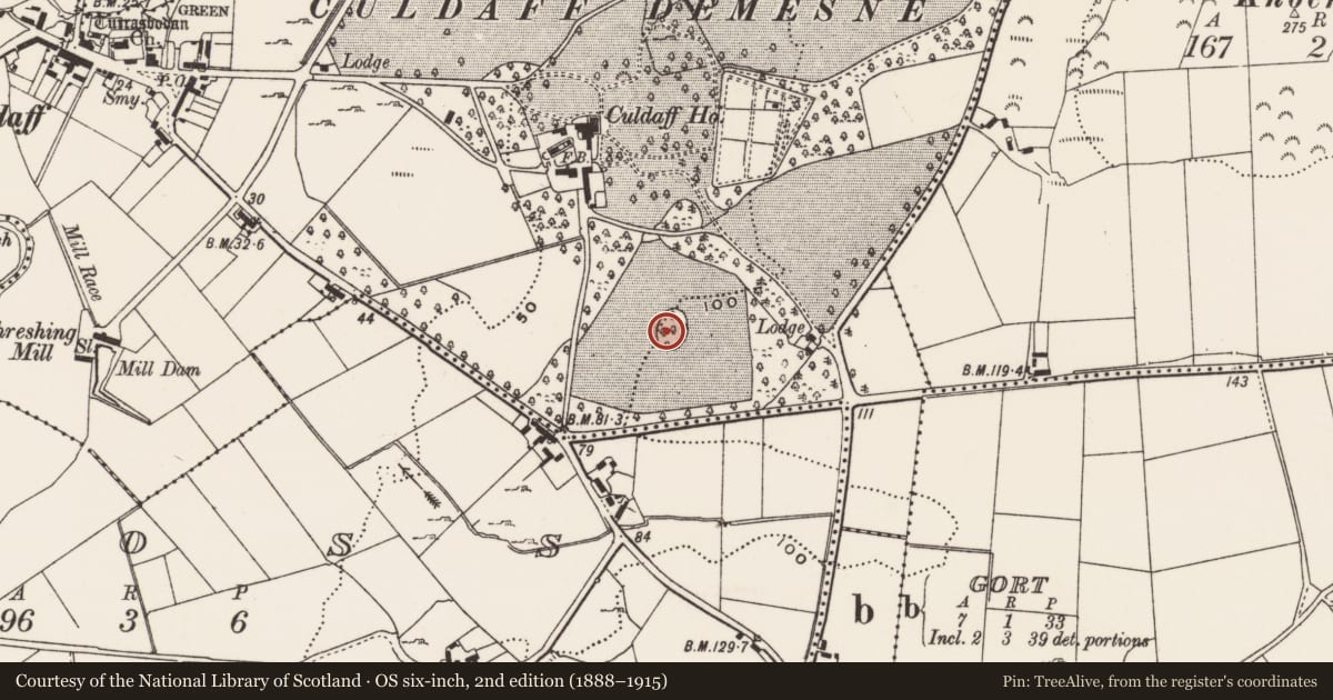 Ordnance Survey six-inch map, 2nd edition (1888–1915) covering the location of Enclosure, Culdaff, County Donegal, with a pin at the register's coordinates