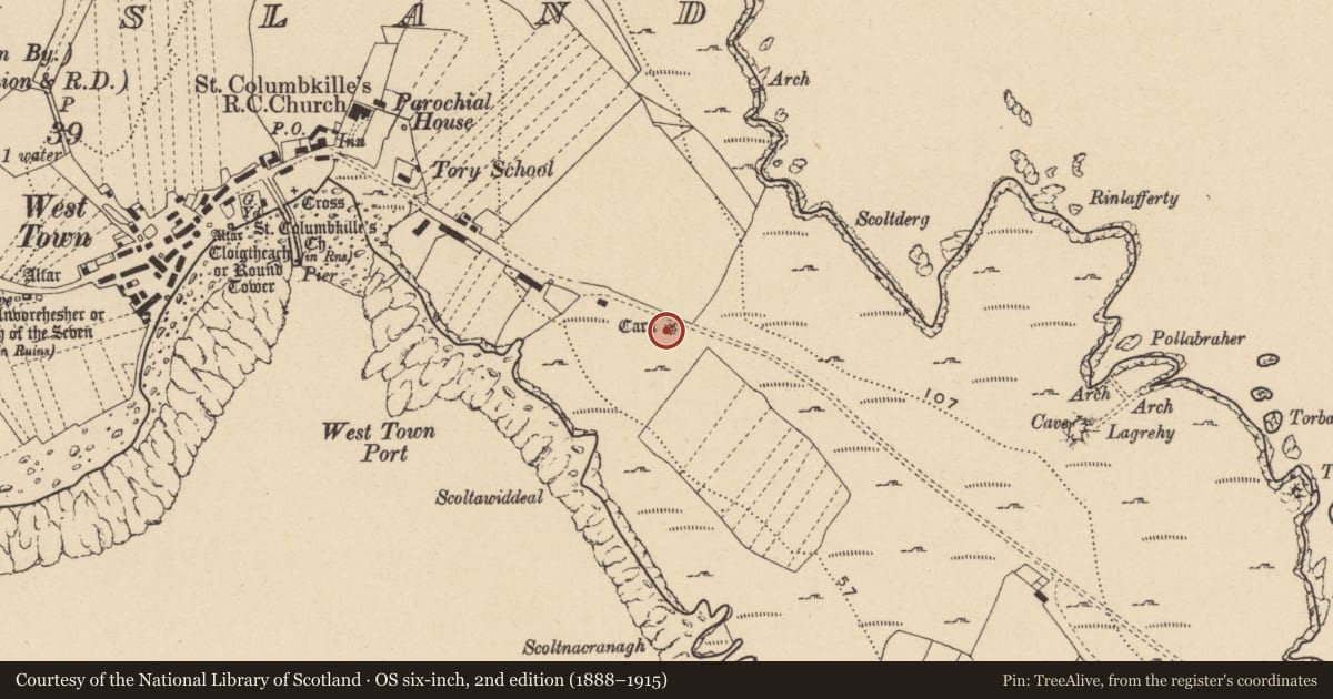 Ordnance Survey six-inch map, 2nd edition (1888–1915) covering the location of Cairn - unclassified, Toraigh, County Donegal, with a pin at the register's coordinates