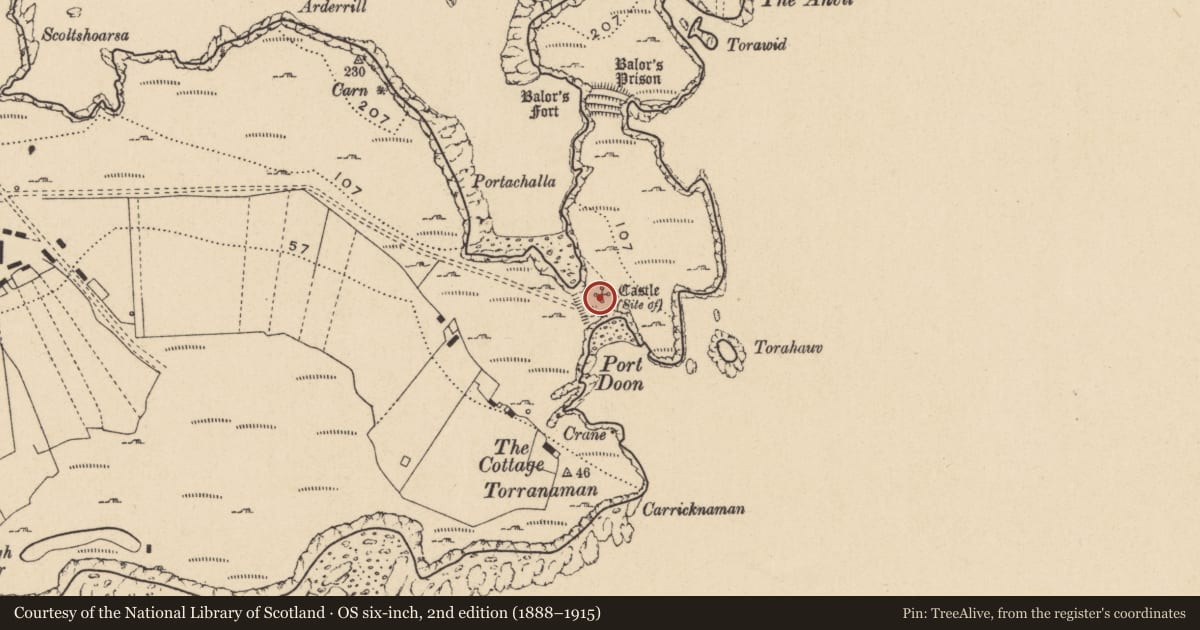 Ordnance Survey six-inch map, 2nd edition (1888–1915) covering the location of Castle - unclassified, Toraigh, County Donegal, with a pin at the register's coordinates