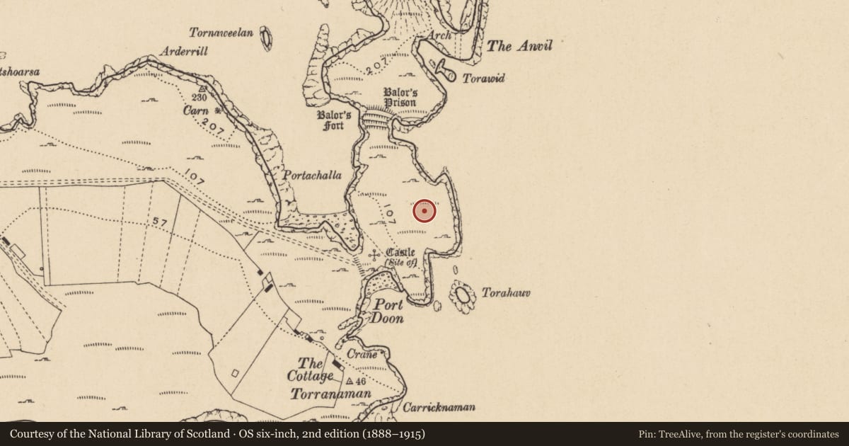 Ordnance Survey six-inch map, 2nd edition (1888–1915) covering the location of Enclosure, Toraigh, County Donegal, with a pin at the register's coordinates