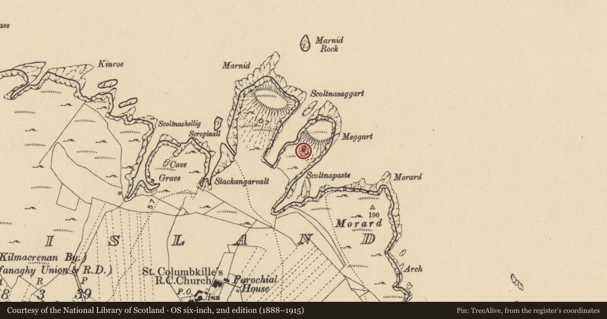 Ordnance Survey six-inch map, 2nd edition (1888–1915) covering the location of Promontory fort - coastal, Toraigh, County Donegal, with a pin at the register's coordinates