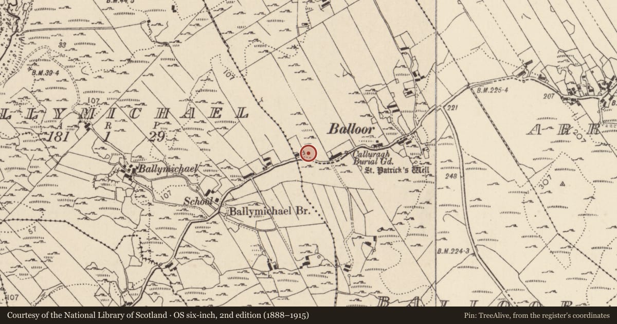 Ordnance Survey six-inch map, 2nd edition (1888–1915) covering the location of Standing stone, An Baile Úr, County Donegal, with a pin at the register's coordinates