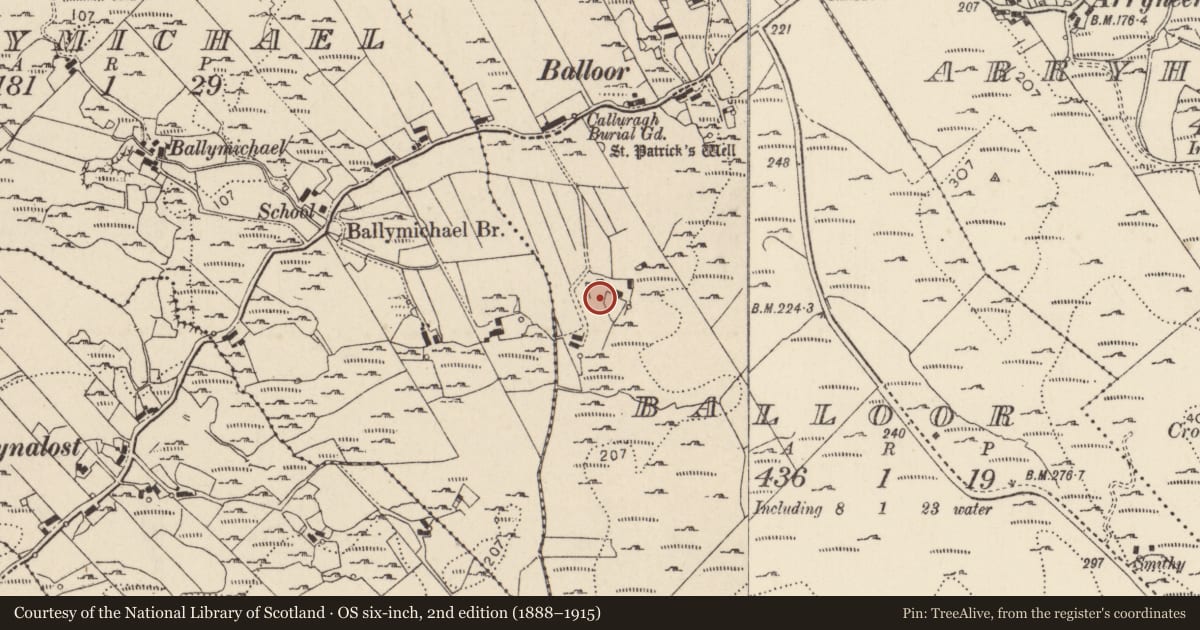 Ordnance Survey six-inch map, 2nd edition (1888–1915) covering the location of Ringfort - cashel, An Baile Úr, County Donegal, with a pin at the register's coordinates