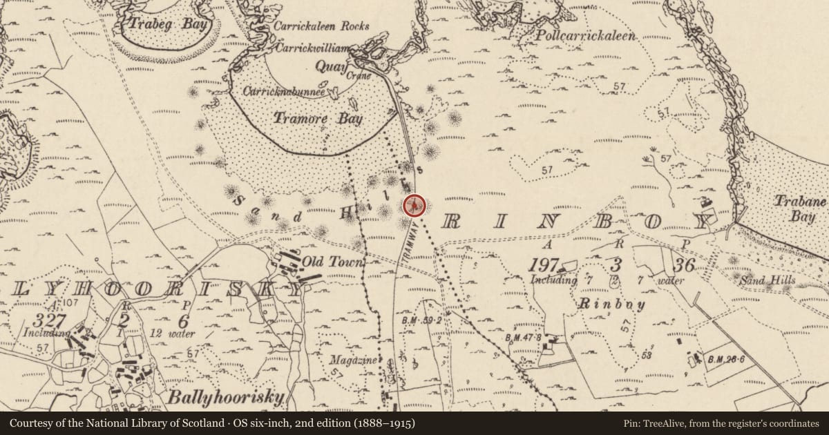 Ordnance Survey six-inch map, 2nd edition (1888–1915) covering the location of Midden, An Rinn Bhuí, An Tonn Bhán, County Donegal, with a pin at the register's coordinates