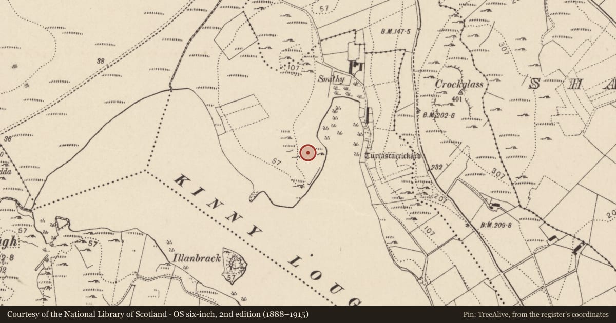 Ordnance Survey six-inch map, 2nd edition (1888–1915) covering the location of Burial ground, Cionn An Locha, County Donegal, with a pin at the register's coordinates