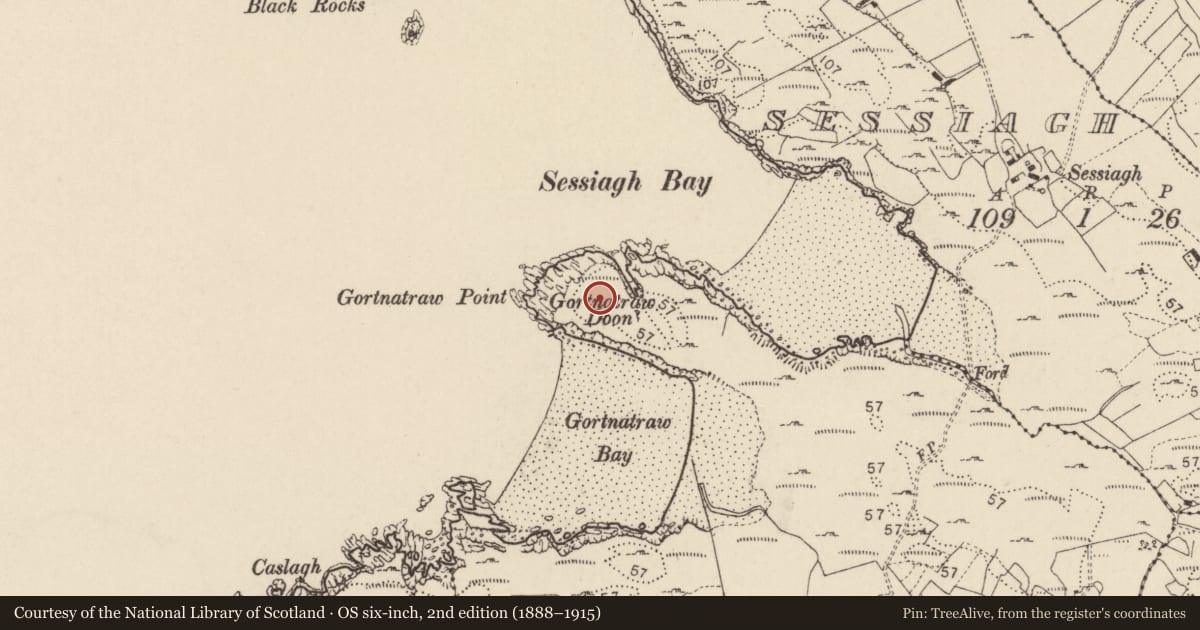 Ordnance Survey six-inch map, 2nd edition (1888–1915) covering the location of Promontory fort - coastal, Gort Na Trá, County Donegal, with a pin at the register's coordinates
