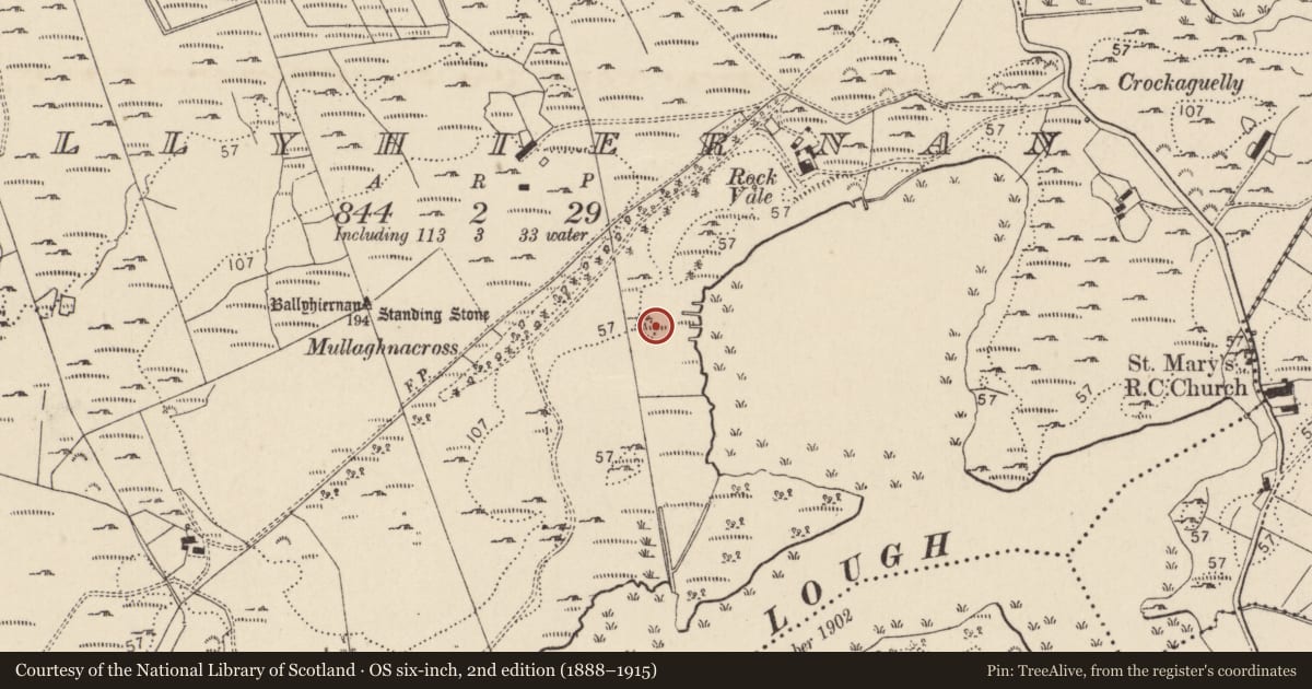 Ordnance Survey six-inch map, 2nd edition (1888–1915) covering the location of Ringfort - rath, Baile Thiarnáin, County Donegal, with a pin at the register's coordinates