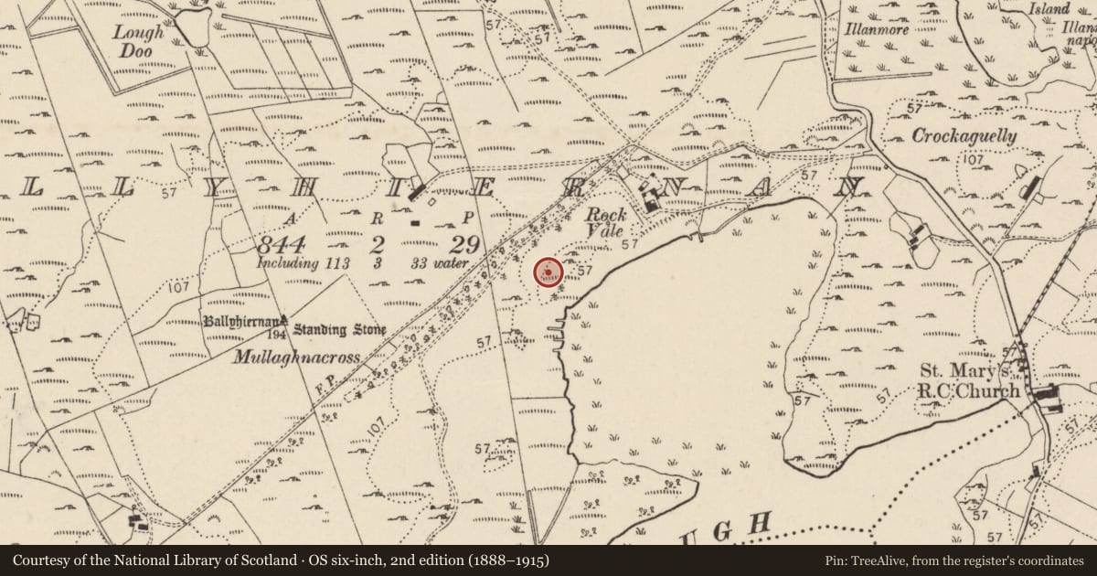 Ordnance Survey six-inch map, 2nd edition (1888–1915) covering the location of Hut site, Baile Thiarnáin, County Donegal, with a pin at the register's coordinates