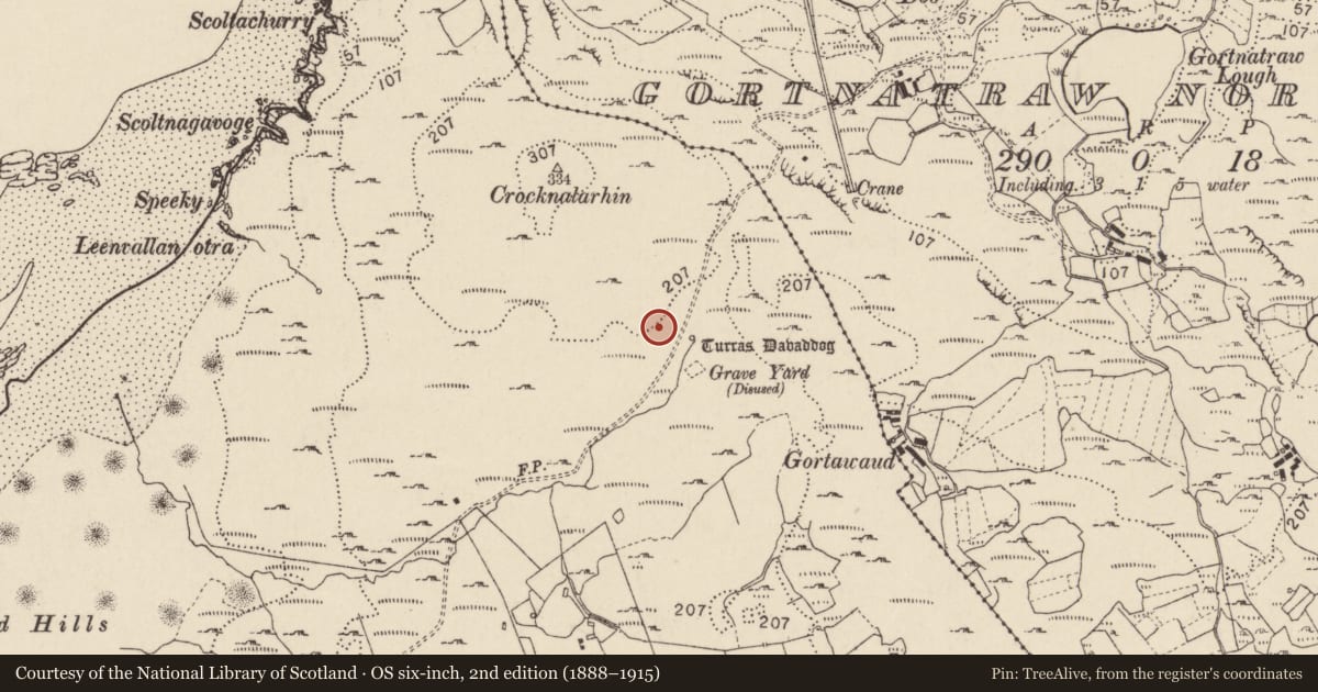 Ordnance Survey six-inch map, 2nd edition (1888–1915) covering the location of Ringfort - cashel, Dumhaigh Mhór, County Donegal, with a pin at the register's coordinates